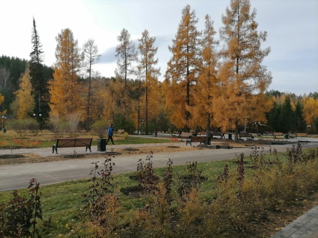 Работа в сквере в Белокурихе.