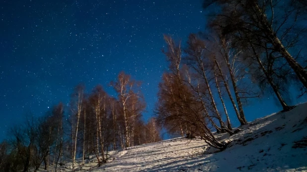 Самая длинная ночь в Алтайском крае 