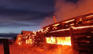 Пожар в тепляке, где погибло 46 голов крупного рогатого скота