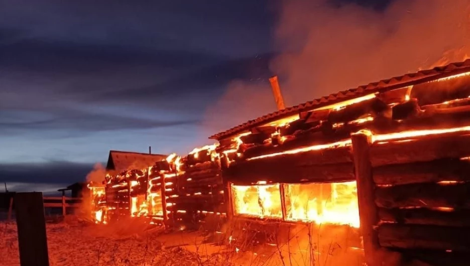 На Алтае во время пожара погибло 46 голов крупного рогатого скота