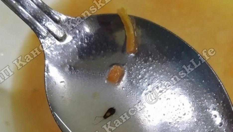 «Замечательный» обед с тараканами выдался у российских школьников в столовой 