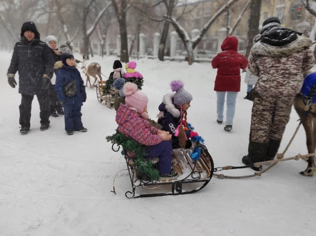 Открытие новогодней аллеи в "Изумрудном" парке. 