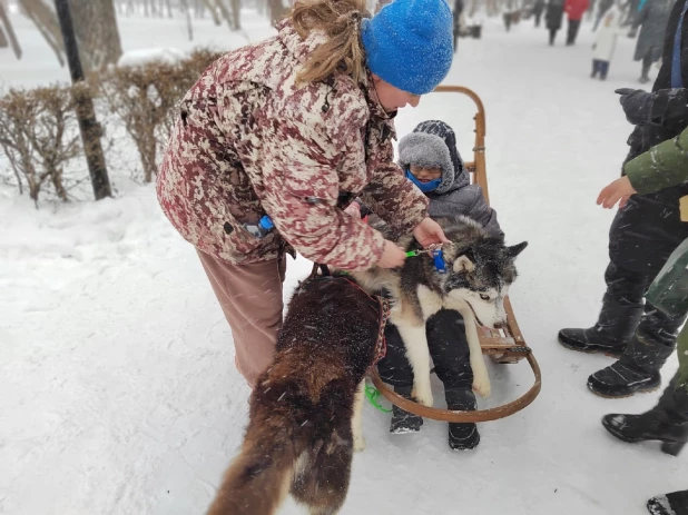 Открытие новогодней аллеи в "Изумрудном" парке. 