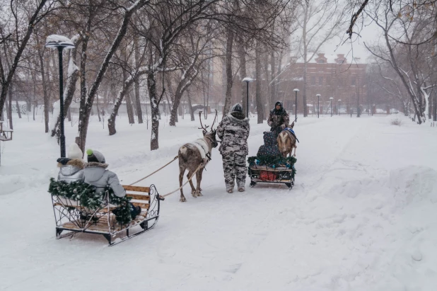 Открытие новогодней аллеи в Изумрудном парке, 2022. 