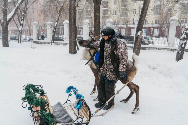 Открытие новогодней аллеи в Изумрудном парке, 2022. 