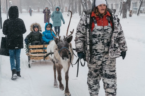 Открытие новогодней аллеи в Изумрудном парке, 2022. 