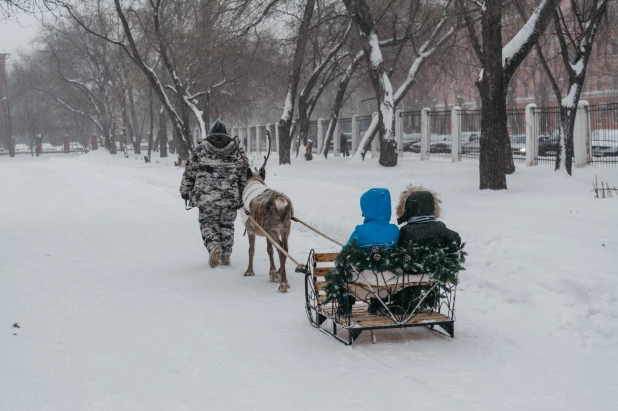 Открытие новогодней аллеи в Изумрудном парке, 2022. 