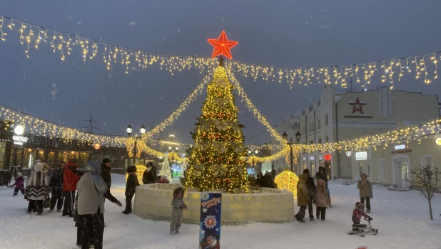 Новогодний городок на ул. Мало-Тобольская