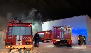 Пожар на складе в Новосибирске ликвидировали
