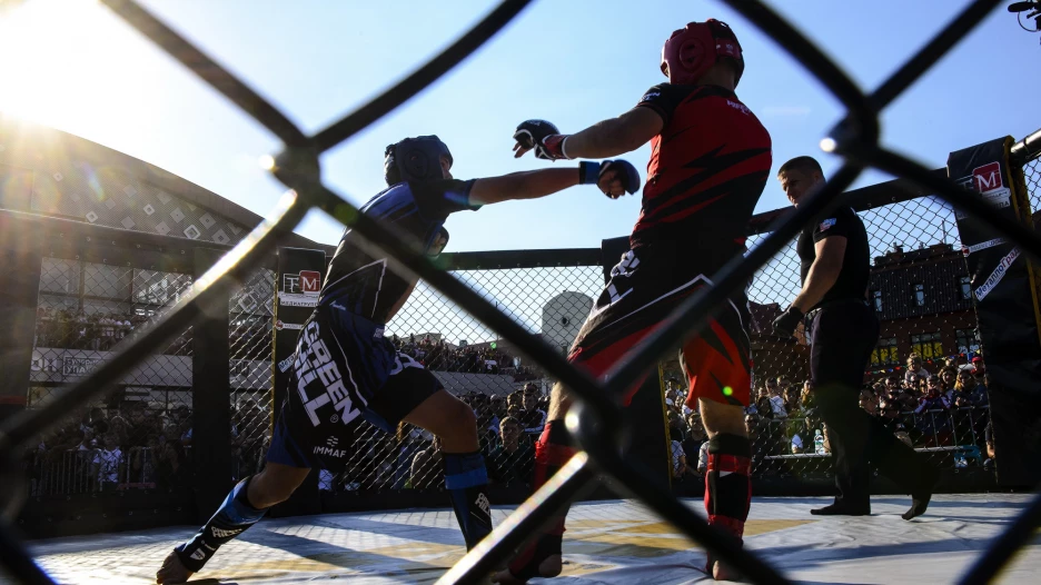 Годовая фотоподборка altapress.ru.