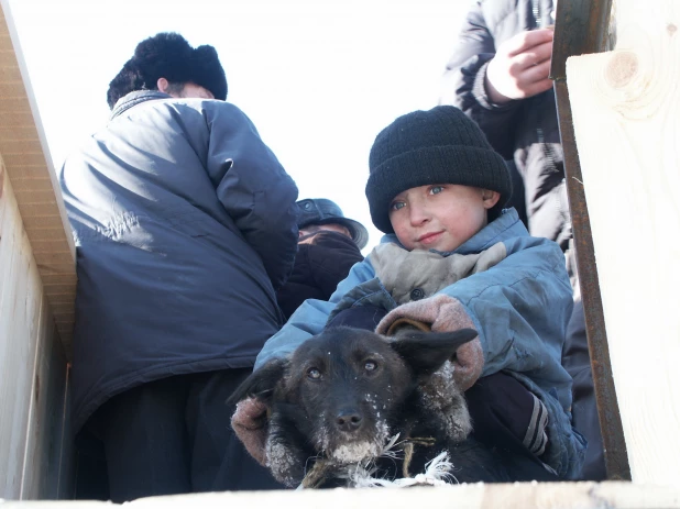 Зимние забавы барнаульцев. 2010 год.