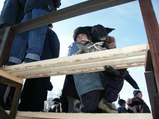 Зимние забавы барнаульцев. 2010 год.