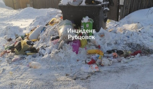 Жители Рубцовска недовольны нечищеными дорогами и полными мусорными баками