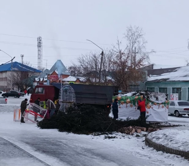 Рухнувшая ель в Камне-на-Оби