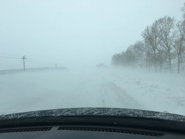 Заснеженная алтайская трасса.