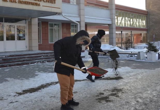 Студенты и волонтеры вышли на помощь в борьбе с образовавшимся гололедом в Барнауле. 