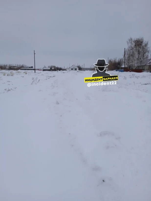 Больница не смогла приехать к пациенту из-за неочищенной дороги в Алтайском крае