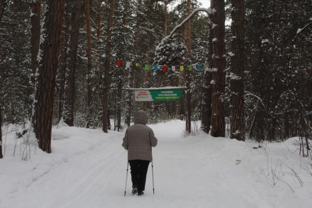 Барнаульцы на Трассе здоровья. 