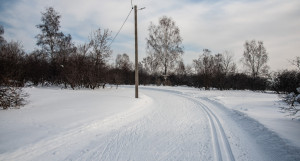 Лыжня в Залесово. 