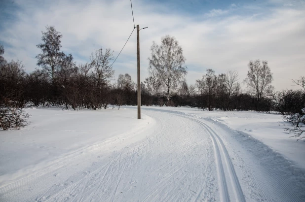 Лыжня в Залесово. 