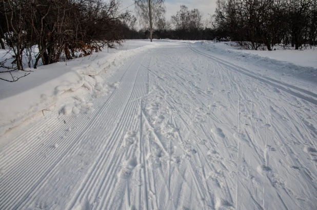 Лыжня в Залесово. 