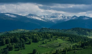 Гора Разработная. Тигирекский заповедник.