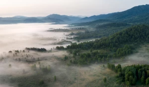 Туманы. Тигирекский заповедник.