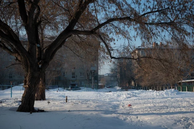 Барнаул в лучах солнца 