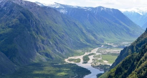 Горная река. Горный Алтай.