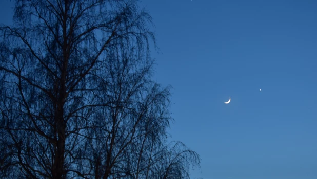 Ночное небо 24 февраля