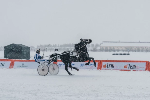 "Сибирская масленица" в Новотырышкино, 2023.