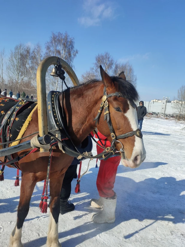 Масленица в Барнауле