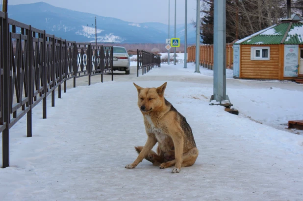 Иволгинский дацан. 