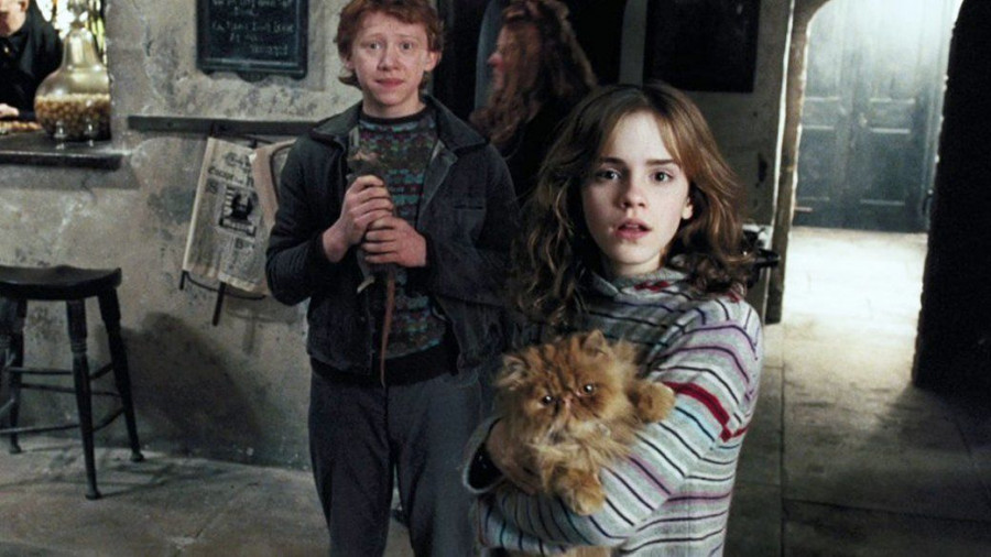 «Гарри Поттер».