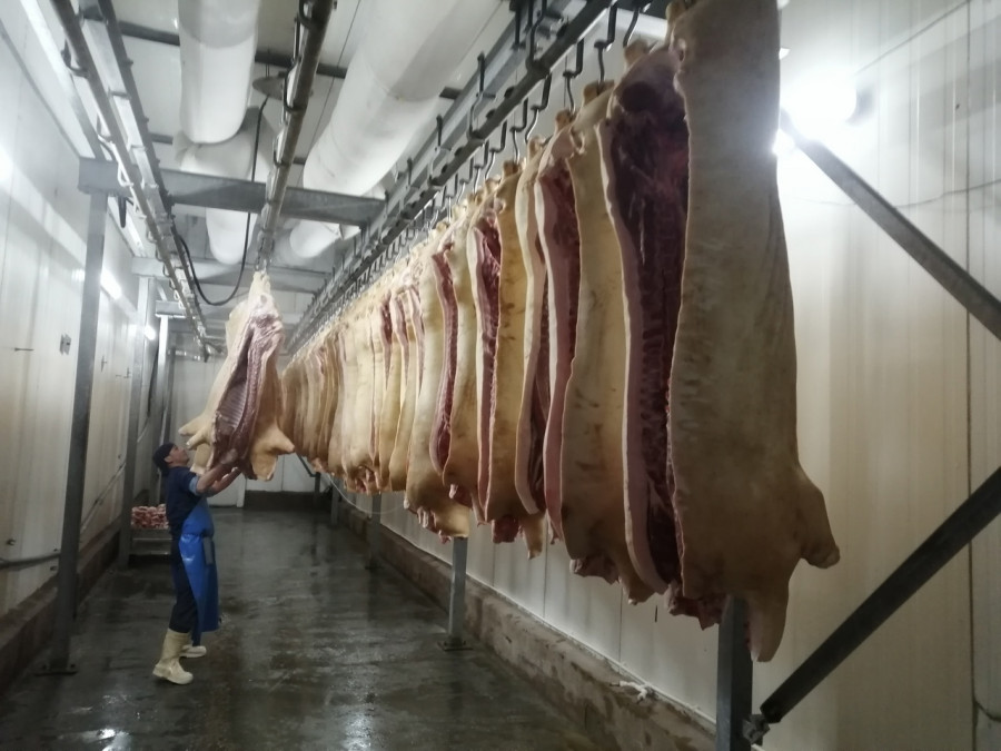 На Заринском мясоперерабатывающем заводе.