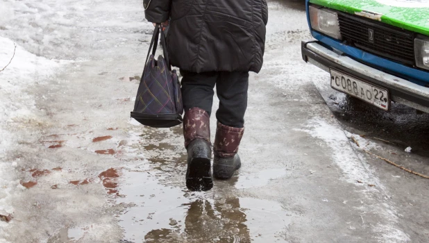 Мартовская оттепель в Барнауле.