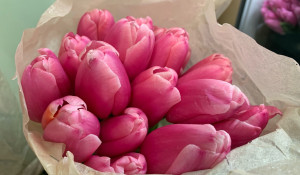 Тюльпаны "Букетной Фрутелла".