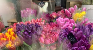 Тюльпаны в "Букетной Фрутелла".