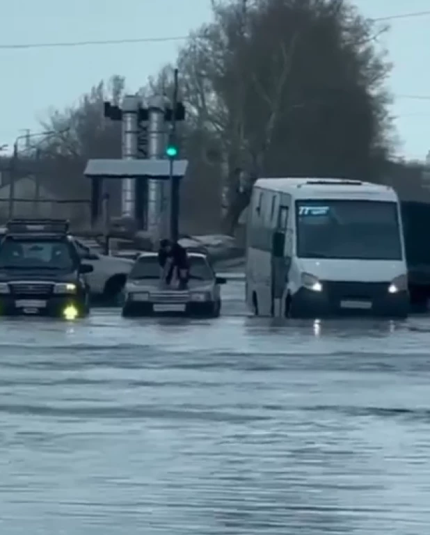 Бийск 8 марта.