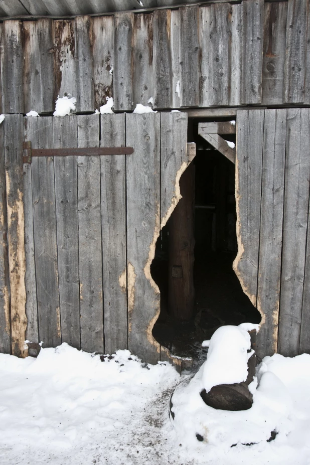 Село Смоленское Смоленского района. 