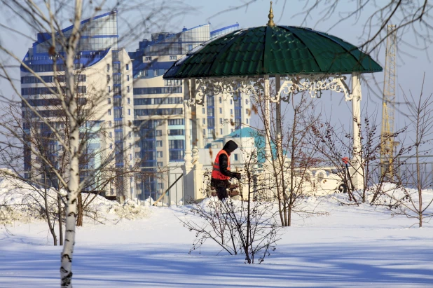 Снег в Барнауле. 