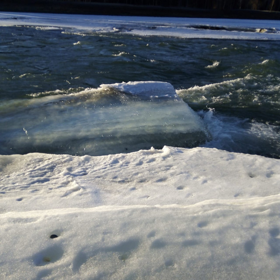 Освободиться ото льда. Морозная река 26. Ледяной панцирь. Вскрывшийся от льда. Вода Барнаул.