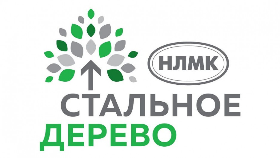 Более 40 заявок подали жители Алтайского края на участие в грантовой программе «Стальное дерево»