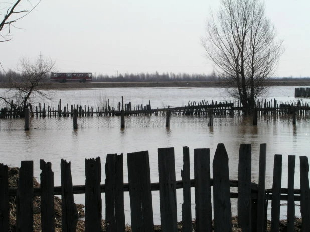 Весна в Затоне, фото 2004 года.