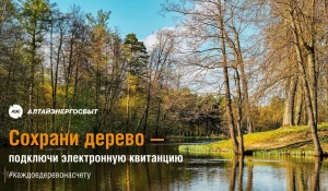Клиенты АО «Алтайэнергосбыт» активно отказываются от бумажных квитанций в пользу электронных.