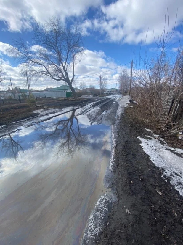 Дорога в селе Топчиха. 