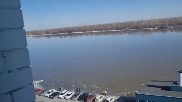 Обь в районе Нового моста.