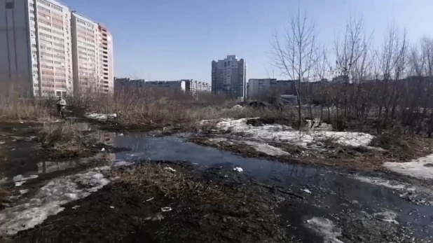 Барнаульцы преодолевают лужи и грязь, чтобы попасть в магазин и на остановку.