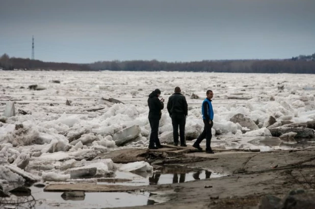 Ледоход в Барнауле в 2015 году.	