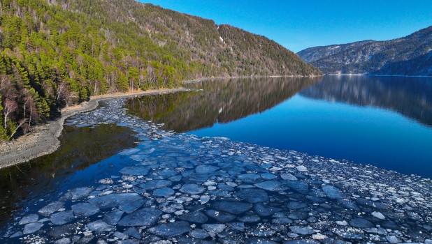 Телецкое озеро почти сбросило ледяные оковы.
